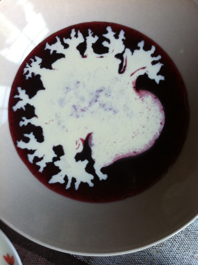 Fractaler i blåbärssoppa